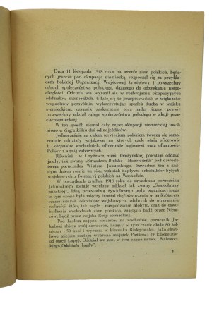10th Lithuanian Lancers Regiment - An Outline of the War History of the Polish Regiments 1918-1920, Warsaw 1929