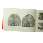 CHODYŃSKI Antoni Romuald - Orzeł - Znak żołnierza polskiego KATALOG wystawy Muzeum Zamkowe w Malborku, Malbork 1981-1983