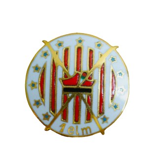 1st Fighter Aviation Squadron I PLM - Minsk Mazowiecki , gold version, badge