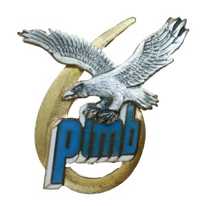 6 Pułk Lotnictwa Myśliwsko-Bombowego - Piła , wersja oficerska, odznaka