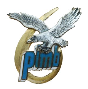 6th Fighter-Bomber Aviation Regiment - Saw , officer's version, badge