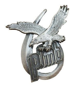 6th Fighter-Bomber Aviation Regiment - Saw, soldier version, badge