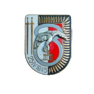 8 Pułk Lotnictwa Myśliwsko-Bombowego - Mirosławiec, odznaka