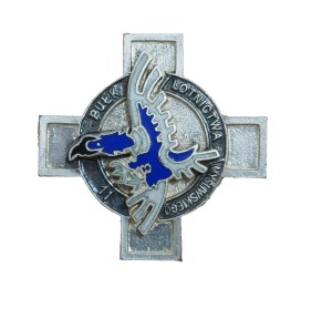 11th Fighter Aviation Regiment - Wroclaw , version made for the dissolution of the regiment, badge
