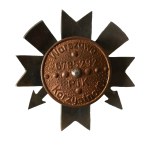 14 Strzegomski Pułk Radioliniowo-Kablowy - Strzegom, odznaka