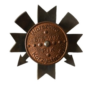 14 Strzegom Radio and Cable Regiment - Strzegom, badge