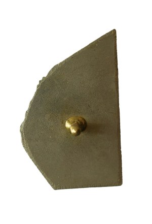 6th Fighter-Bomber Aviation Regiment - Pila, badge