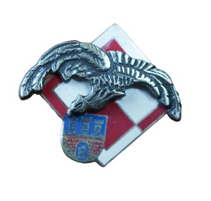 60 Airborne Training Regiment - Radom, badge