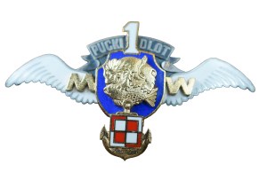 1 Puck Air Squadron - Gdynia - Babie Doły, badge