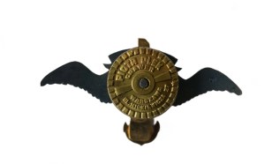 1 Puck Air Squadron - Gdynia - Babie Doły, badge