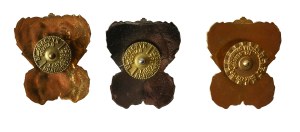 3rd Rocket Regiment - Biedrusko , version: gold, silver and bronze, set of 3 badges