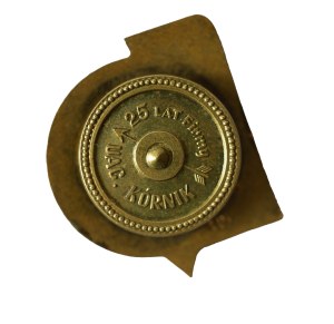 31st Radiotechnical Battalion - Poznań Babki, badge