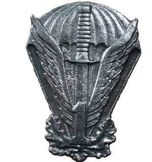 1st Special Commando Regiment - Lubliniec , reduced version 44x32mm [standard has 45x33mm], badge