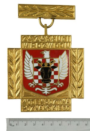 Badge for Merit in the Development of the Poznań Province [LARGE SIZE 88x88mm , standard size is 33x33mm].