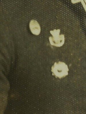 70th Infantry Regiment - Pleszew , soldier with visible badges: POS and two others and regimental badge