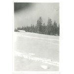 ZAKOPANE. Mistrzostwa Świata w narciarstwe; 1939 r.