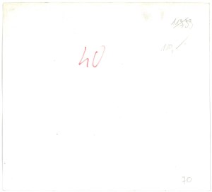 AUGUSTOW. Wood runoff, 1980.