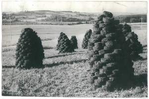 SUWALSZCZYZNA. Peat mounds, 1971.