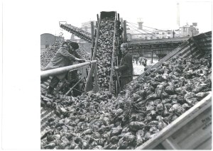 LUBLIN. Sugar factory, 1972.