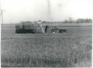 LUCYNÓW (Siedlce Province). Field work, 1975.