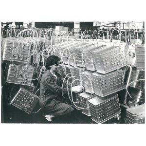 PONIATOWA (pow. Opole Lubelskie). Zakłady Elektromaszynowe Eda, 1969 r.