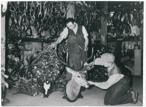 SEUBELSDORF. Deer horn composition, 1960.