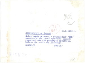 SEUBELSDORF. Deer horn composition, 1960.