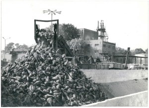 WIELUŃ. Sugar factory, 1976.