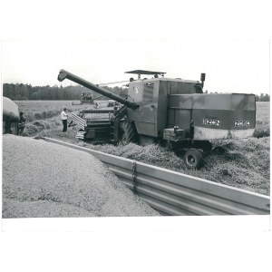 BARTOSZYCE. Zbiór pszenicy w zakładzie Kromarki, lata 70.