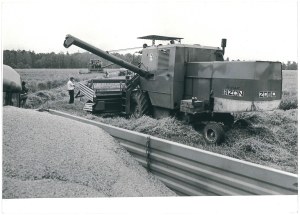 BARTOSZYCE. wheat harvest at the 