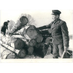 STARE JABŁONKI (pow. Ostróda). Składnica drewna w Olsztynku, 1983 r.