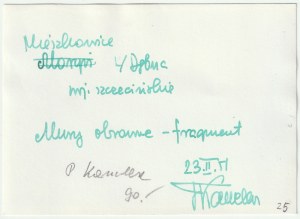 MIESZKOWICE (Gryfino district). Defensive walls, 1951.