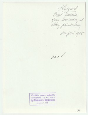 STARGARD. Tower of St. Mary's Parish Church, 1955.