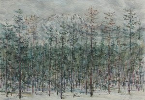 Wieslaw Sniadecki, View of Giewont, 1984
