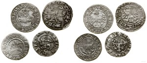 Poland, set of 4 Jagiellonian half-pennies