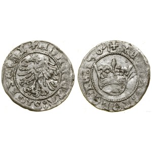 Polsko, půlpenny, 1507, Krakov