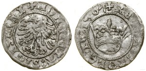 Poland, half-penny, 1507, Cracow