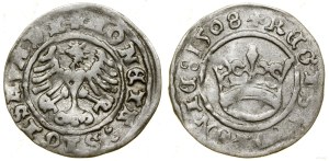Poland, half-penny, 1508, Cracow