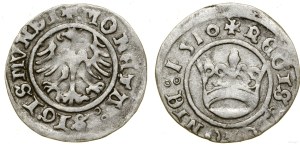 Poland, half-penny, 1510, Cracow