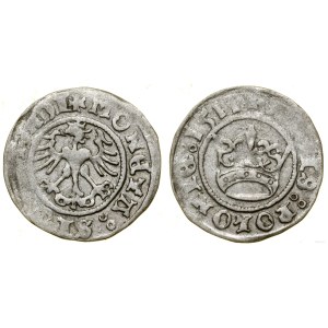 Poland, half-penny, 1511, Cracow