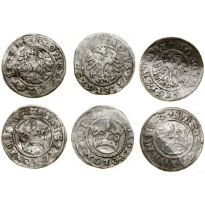 Polska, zestaw: 3 x półgrosz, 1508-1510, Kraków