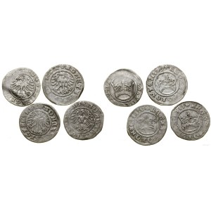 Polska, zestaw: 4 x półgrosz, 1509-1511, Kraków