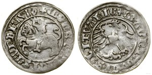 Poland, half-penny, 1510, Vilnius
