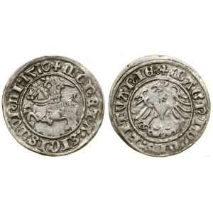 Polska, półgrosz, 1510, Wilno