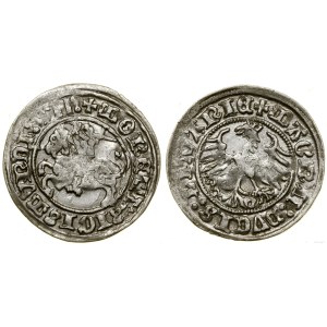 Polska, półgrosz, 1511, Wilno