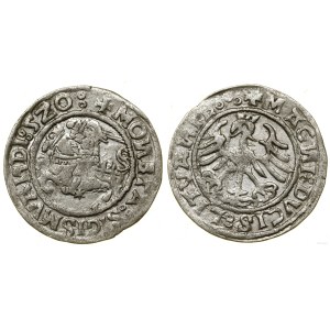 Polska, półgrosz, 1520, Wilno