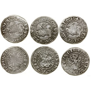 Polska, zestaw: 3 x półgrosz, 1509, 1510, 1513, Wilno
