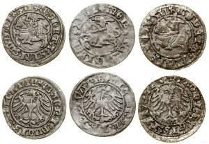 Poland, set: 3 x half-penny, 1511, 1512, 1513, Vilnius