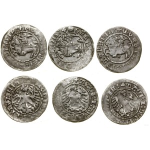 Polonia, set: 3 x mezzo penny, 2 x 1518, 1519, Vilnius
