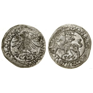 Polen, halber Pfennig, 1564, Vilnius